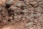 Pillow Basalts? 2