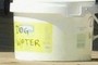 Dog  water