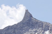 288599-210x140