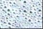 The bubbles