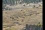 Extreame meander