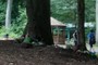 Gazebo (Music)