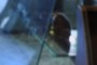 Empty candy display cases