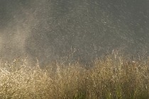 290093-210x140