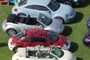 Flower Power Beetle