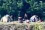 Camp
