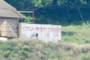Ostrich farm