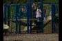 kids in the park