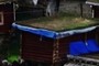 Organic Roof