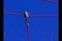 Pulley