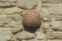 Сannonball