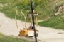 Archery 
