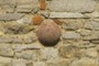  Сannonball