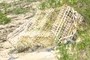 Old Lobster Trap