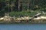 Long dock