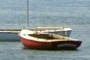 Racing Sailboat
