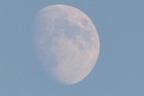 292793-210x140