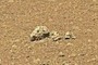 Stones with holes