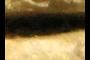 Cave crack