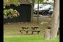 picnic table 