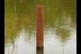 Water Pole