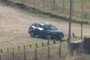 Our car