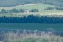 Irrigation