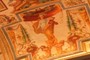 Detail 16