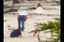 1/2 people on beach