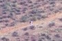 Distant Hiker