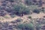 Started Hiker