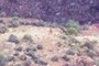 Ultra Hiker