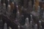 cemetry