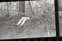 Don't be that guy (1966)