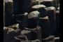 basalt?