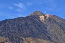 295383-210x140