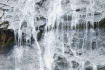 295643-210x140