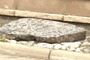 Orbicular Rock