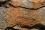 Upside-down stromatolite