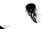 Sky Jellyfish
