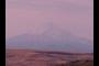 Mt Hood