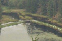 296808-210x140