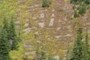 Rock and soil patterns