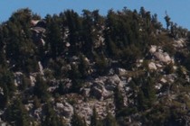 297411-210x140