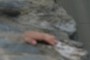 Let's give Randy a big hand!
