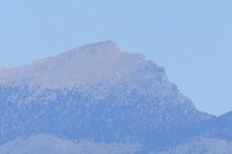 297926-210x140