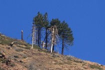 297923-210x140