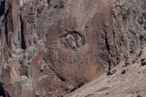 297631-210x140