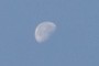The Moon