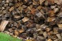 Wood Pile